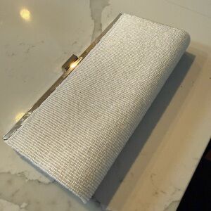 Elegant Pearl White Beaded Silver Clutch